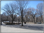 foto Central Park in Inverno